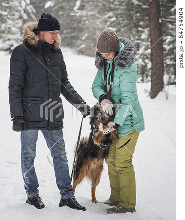 Happy young couple walking with dog in winter forest Happy young couple walking with dog in winter forest 84754904