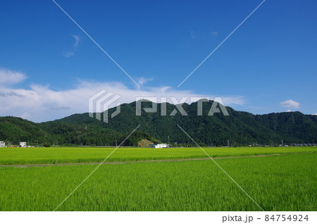 福井市の田園地帯から望む文殊山 84754924