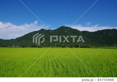 福井市の田園地帯から望む文殊山 福井市の田園地帯から望む文殊山 84754966