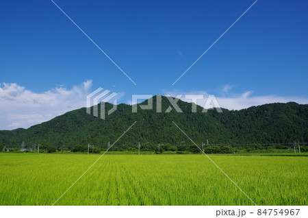福井市の田園地帯から望む文殊山 84754967