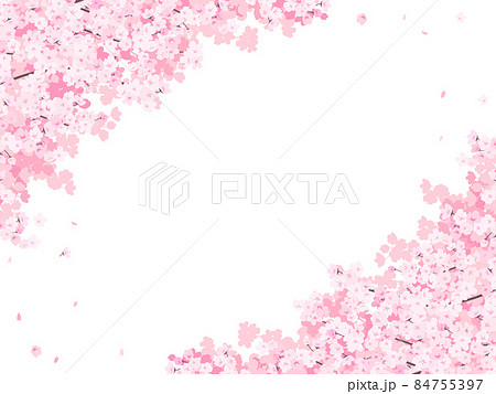 満開の桜 フレーム・背景素材(横向き) 満開の桜 フレーム・背景素材(横向き) 84755397
