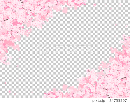 満開の桜 フレーム・背景素材(横向き) 満開の桜 フレーム・背景素材(横向き) 84755397