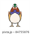 Mandarin Duck　オシドリ 84755876