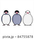 Java Sparrows　文鳥 84755878