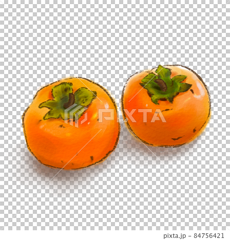 2個並んだ熟れた柿 84756421