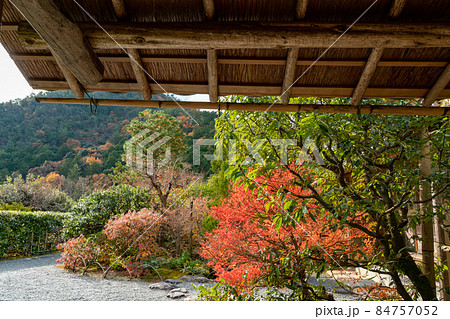 京都光悦寺の庭 京都光悦寺の庭 84757052
