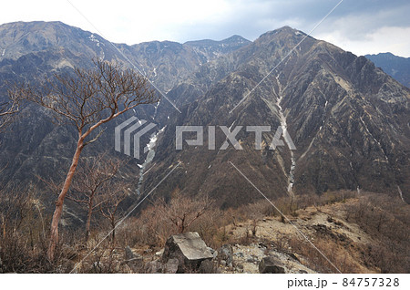 足尾 太平山南西尾根中腹から見る沢入山、オロ山などウメコバ沢源流の山 足尾 太平山南西尾根中腹から見る沢入山、オロ山などウメコバ沢源流の山 84757328