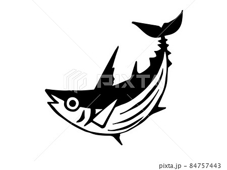 鰹イラスト 84757443