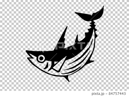 鰹魚圖 84757443