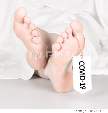 Body with toe tag on white 84758188