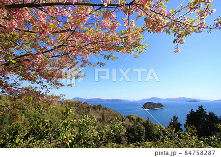 ハート島と河津桜 ハート島と河津桜 84758287