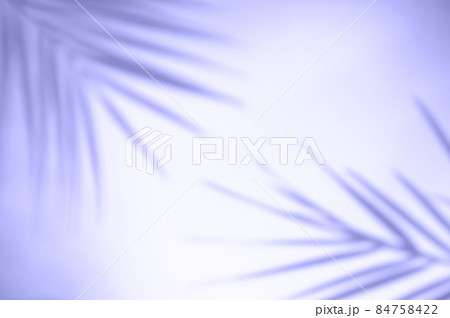 Tropical palm leaves on violet and white background with hard shadows from palm leaves. minimal summer background concept. Toned in color of the year 2022, very peri. Tropical palm leaves on violet and white background with hard shadows from palm leaves. minimal summer background concept. Toned in color of the year 2022, very peri. 84758422