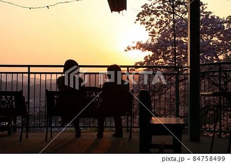 夕暮れ時に桜を見ながら談笑する二人 夕暮れ時に桜を見ながら談笑する二人 84758499