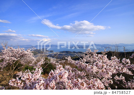 春の朝日山から望む瀬戸内海や竹原市街 84758527
