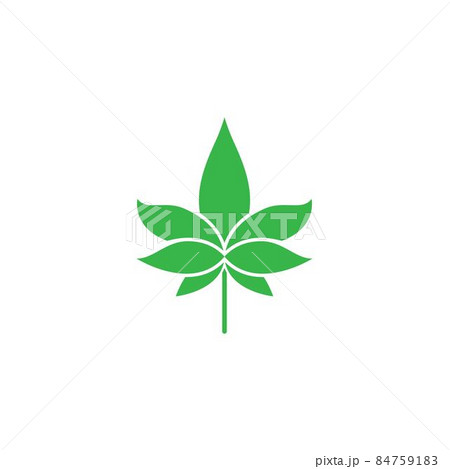 Cannabis logo template vector 84759183