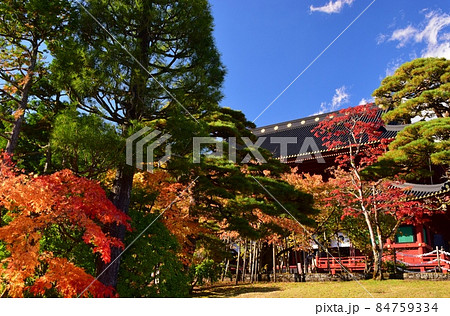 日光山輪王寺・三仏堂　秋景色 84759334