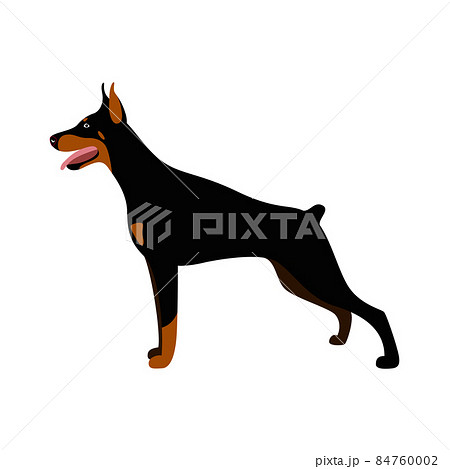 is the german pinscher legal in brunei