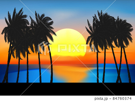 Landscape View Drawing Palm Tree And Sunset At のイラスト素材