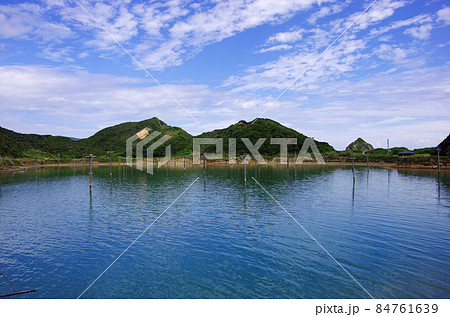 瀬戸内町のホノホシ海岸隣のくるまえびの養殖場 84761639