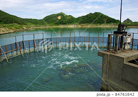 瀬戸内町のホノホシ海岸隣のくるまえびの養殖場 84761642