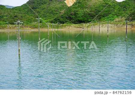 瀬戸内町のホノホシ海岸隣のくるまえびの養殖場 84762156