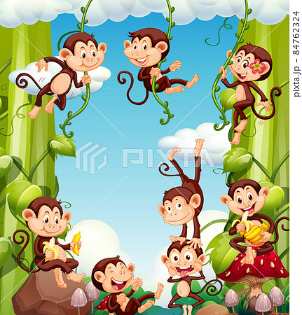 Happy monkeys on nature background 84762324