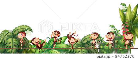 Different monkey cartoon characters on the rope with tropical leaf Different monkey cartoon characters on the rope with tropical leaf 84762376