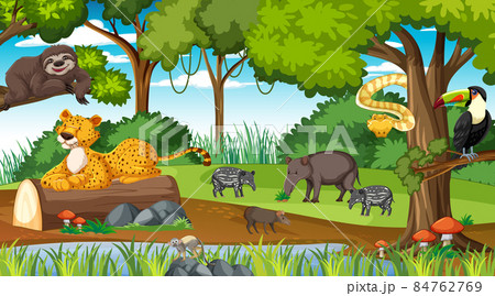 Forest at daytime scene with different wild animals 84762769