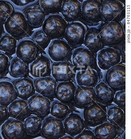 Aronia Melanocarpa Background Aronia Melanocarpa Background 84763115