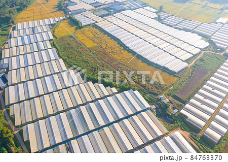 Aerial top view of roof of garden plant industry farm in agriculture concept with paddy rice field. Hydroponic natural food. Crops. Nature landscape background. Aerial top view of roof of garden plant industry farm in agriculture concept with paddy rice field. Hydroponic natural food. Crops. Nature landscape background. 84763370