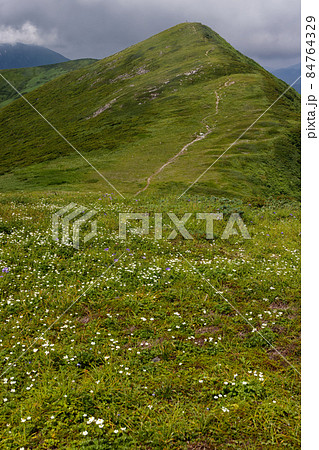 ハクサンイチゲ咲く夏の朝日連峰・寒河山稜線 84764329