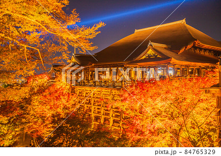 清水寺の紅葉 夜間特別拝観 清水寺の紅葉 夜間特別拝観 84765329
