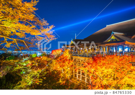 清水寺の紅葉　夜間特別拝観 84765330