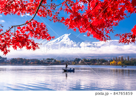 《山梨県》秋の富士山・河口湖湖畔の紅葉 《山梨県》秋の富士山・河口湖湖畔の紅葉 84765859