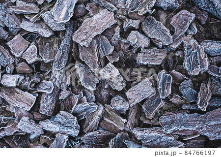 The texture of the pine bark. frosty mulch 84766197