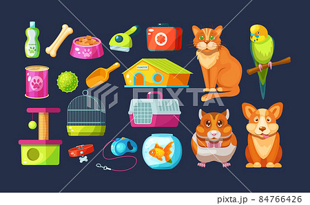 Pet store with animal food, accessories and toys domestic. Pet shop supplies with parrot, hamster, cat, dog. Pet accessories: shampoo, bone, food, leash-collar, first-aid kit, aquarium with fish Pet store with animal food, accessories and toys domestic. Pet shop supplies with parrot, hamster, cat, dog. Pet accessories: shampoo, bone, food, leash-collar, first-aid kit, aquarium with fish 84766426