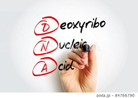 DNA - Deoxyribonucleic Acid acronym with marker, medical concept background 84766790