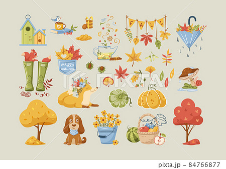 Traditional fall autumn attributes. Dry garden trees, yellow foliage, mushrooms, rubber boots, animals fox squirrel puppy, seasonal harvest, umbrella, vegetable, seasonal harvest pumpkin 84766877