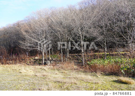 浜益村立床丹小学校（廃校・跡地） 84766881