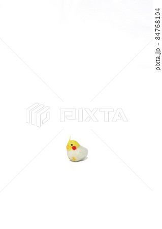 かわいい人気のペット【コザクラインコ】 かわいい人気のペット【コザクラインコ】 84768104