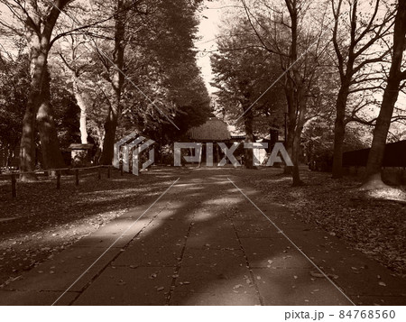 平塚神社参道 84768560