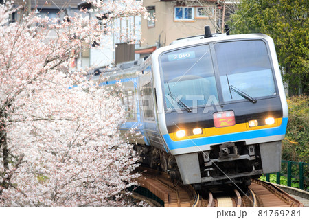 豊永の桜と特急「南風」(JR四国 2000系) 豊永の桜と特急「南風」(JR四国 2000系) 84769284