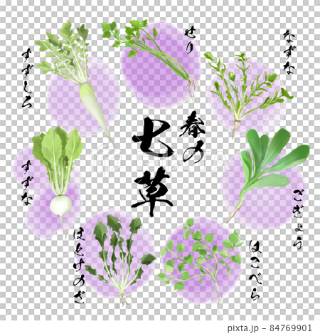 Spring Seven Herbs_Murasaki Spring Seven Herbs_Murasaki 84769901
