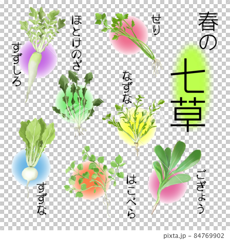 Spring Seven Herbs_Aya Spring Seven Herbs_Aya 84769902