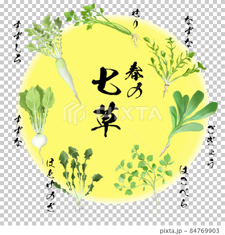 春の七草_黄 84769903