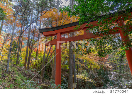 勝手神社 84770044