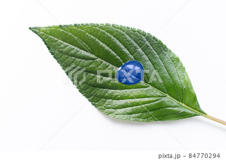 green leaf with drop isolated in color of the year 2022 green leaf with drop isolated in color of the year 2022 84770294