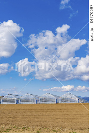青空とビニールハウス 84770697