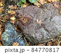 赤石と紅葉 84770817