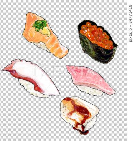 Nigiri sushi watercolor illustration 84771419